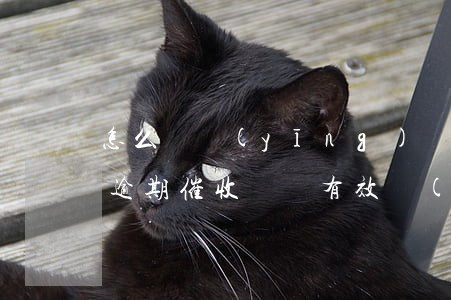 怎么樣應(yīng)對(duì)信用卡逾期催收電話，有效應(yīng)對(duì)信用卡逾期催收電話的策略與技巧