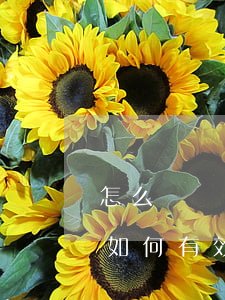怎么樣應對信用卡逾期催收電話?（信用卡逾期如何有效催回欠款）