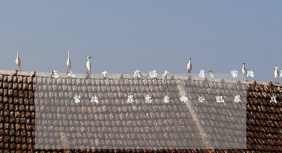 怎么樣才構成煽動顛覆國家政權罪（煽動顛覆國家政權罪需要哪些犯罪構成要件）