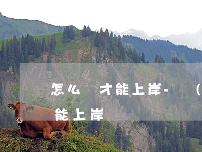 怎么樣才能上岸-網(wǎng)貸怎么才能上岸