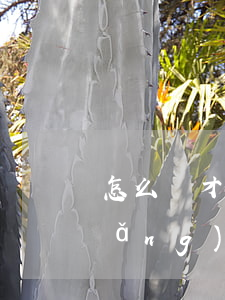 怎么樣才能不被爆通訊錄-怎么攔截網(wǎng)貸爆通訊錄