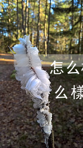 怎么樣才能和銀行協(xié)商還款-怎么樣才能和銀行協(xié)商還款呢