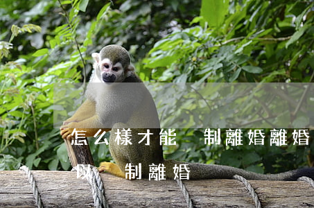 怎么樣才能強制離婚(離婚不同意什么時候可以強制離婚)