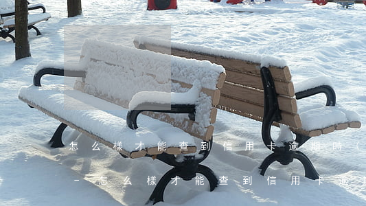 怎么樣才能查到信用卡逾期時(shí)間-怎么樣才能查到信用卡逾期時(shí)間呢