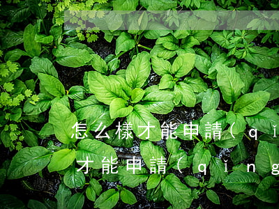 怎么樣才能申請(qǐng)法律援助(怎樣才能申請(qǐng)法律援助?)