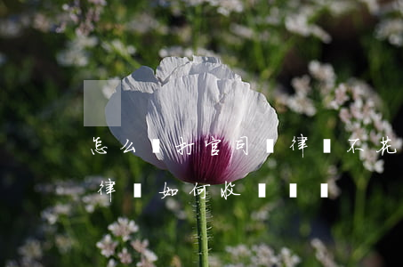 怎么樣打官司請律師不花錢(打官司一定要請律師如何收費標準)