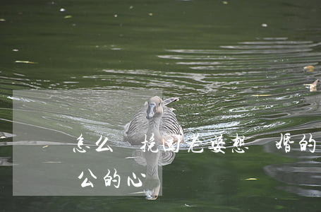 怎么樣挽回老婆想離婚的心(離婚怎么挽回老公的心)