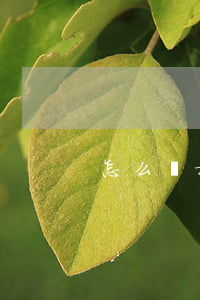 怎么樣提起訴訟離婚(怎么樣提起訴訟離婚)