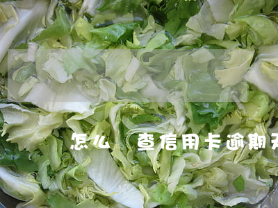 怎么樣查信用卡逾期天數(shù)