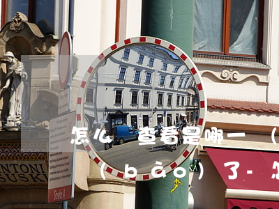 怎么樣查看是哪一項(xiàng)逾期申報(bào)了-怎么樣查看是哪一項(xiàng)逾期申報(bào)了呢