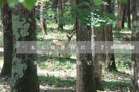 怎么樣查自己欠了多少網(wǎng)貸(怎么能查到自己欠了多少網(wǎng)貸)