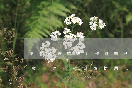 怎么樣查詢信用卡逾期已經(jīng)立案-怎么樣查詢信用卡逾期已經(jīng)立案了