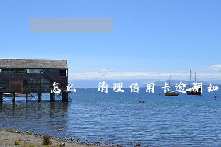 怎么樣清理信用卡逾期 如何處理逾期信用卡