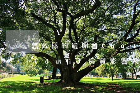 怎么樣的逾期會(huì)影響房貸(逾期對(duì)房貸影響大嗎)