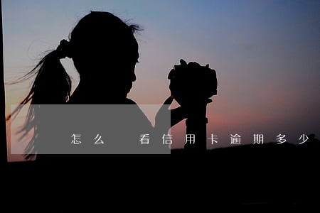 怎么樣看信用卡逾期多少(怎樣查信用卡逾期)