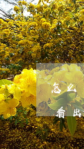 怎么樣看夫妻是否會(huì)離婚(離婚能看出來嗎)