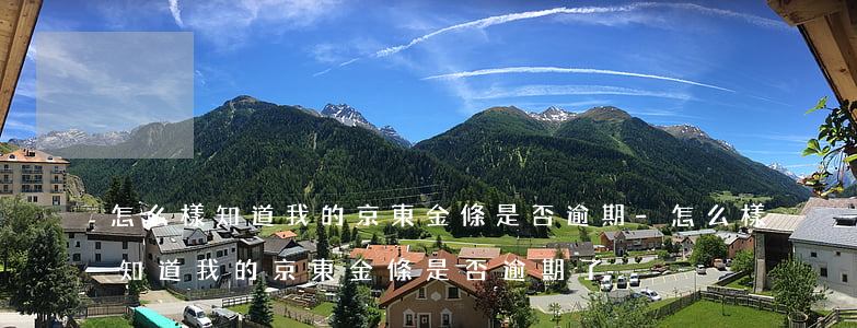 怎么樣知道我的京東金條是否逾期-怎么樣知道我的京東金條是否逾期了