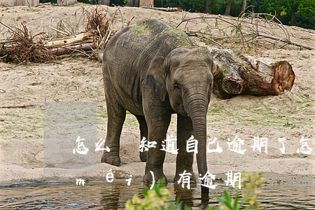 怎么樣知道自己逾期了(怎么知道自己有沒(méi)有逾期?)