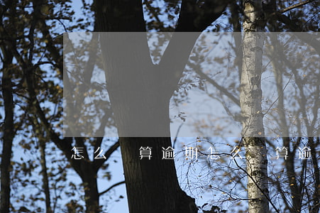 怎么樣算逾期(怎么樣算逾期一次)
