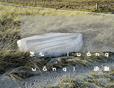 怎么樣網(wǎng)貸逾期還能借款(網(wǎng)貸逾期嚴(yán)重哪里還能借錢)
