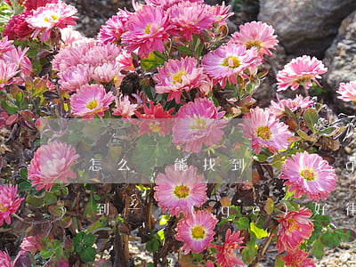 怎么樣能找到一個(gè)律師(怎么才能找到一個(gè)好律師)