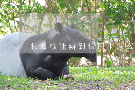 怎么樣能辦到信用卡(怎么樣能辦到信用卡)