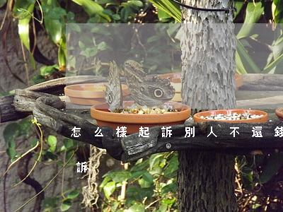 怎么樣起訴別人不還錢(別人不還錢去哪里起訴)