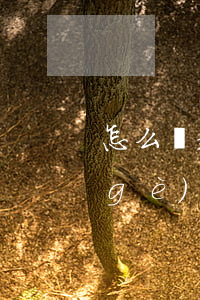 怎么樣起訴別人才會(huì)還我錢(個(gè)人怎么到法院起訴還錢)
