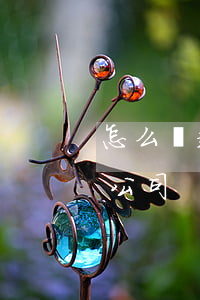 怎么樣起訴欠錢的公司-怎么樣起訴欠錢的公司