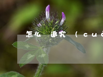 怎么樣追究錯(cuò)案責(zé)任人