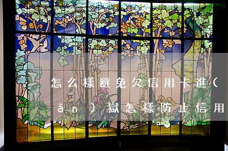 怎么樣避免欠信用卡進(jìn)監(jiān)獄(怎樣防止信用卡)
