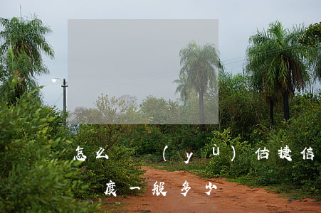 怎么樣預(yù)估捷信貸款額度(捷信貸款額度一般多少)