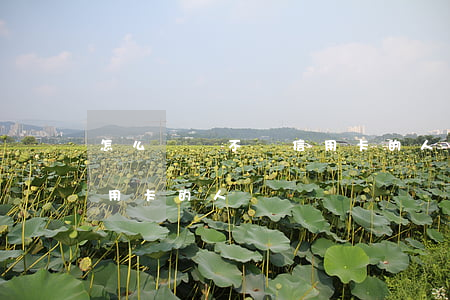 怎么檢舉不還信用卡的人(我想匿名舉報欠信用卡的人)