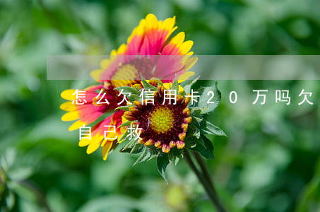 怎么欠信用卡20万吗(欠信用卡25万如何自己救)