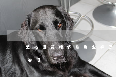 怎么没花呗分期免息券(怎么没花呗分期免息券了)