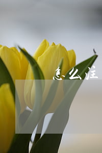 怎么注冊(cè)一個(gè)公司