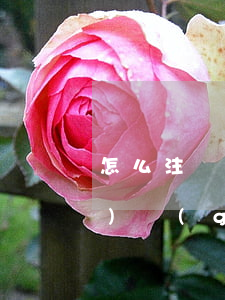 怎么注冊(cè)培訓(xùn)機(jī)構(gòu)