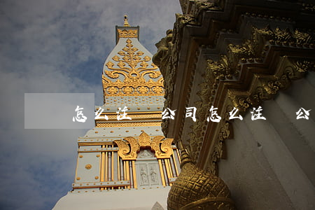 怎么注冊公司(怎么注冊公司名字和商標)