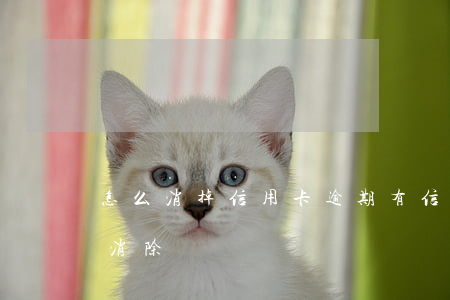 怎么消掉信用卡逾期(有信用卡逾期記錄怎么消除)