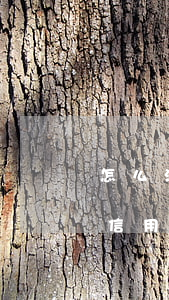 怎么消除信用卡逾期不良記錄嗎-怎么消除信用卡逾期不良記錄嗎安全嗎