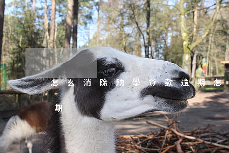怎么消除助學貸款逾期(怎么消除助學貸款逾期)