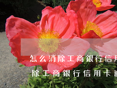 怎么消除工商銀行信用卡逾期記錄-怎么消除工商銀行信用卡逾期記錄呢