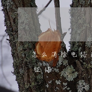 怎么消除电信逾期征信记录吗(电信费用欠缴 征信)