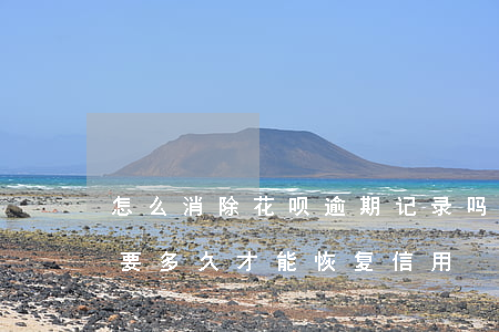 怎么消除花呗逾期记录吗(花呗逾期记录消除要多久才能恢复信用)