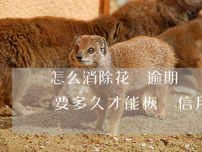 怎么消除花唄逾期記錄嗎(花唄逾期記錄消除要多久才能恢復信用)