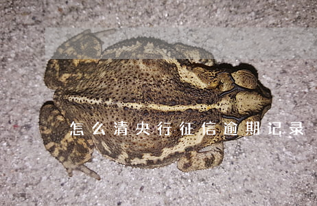 怎么清央行征信逾期记录