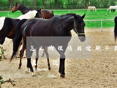 怎么清理信用逾期不良 怎么清理信用逾期不良貸款