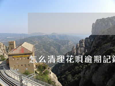 怎么清理花唄逾期記錄(花唄記錄可以清除嗎)