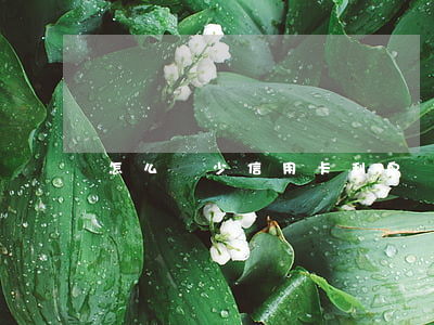 怎么減少信用卡利息