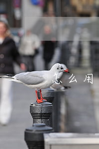 怎么用信用卡开锁（信用卡逾期锁卡怎么开通）